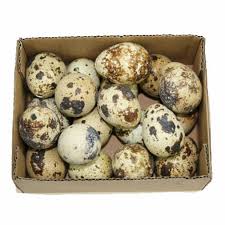 Nimmt man einige wachteleier in die hand und schaut sich die färbung und die sprenkelung genauer an, dann wird man schnell feststellen, dass jedes wachtelei. Echte Ausgeblasene Eier In Floristenqualitat Bastelonlineshop24