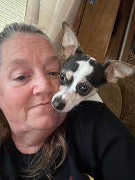 Does anyone else Chihuahua does this