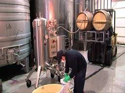 Resultado de imagen de Clarificado del vino