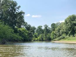 Zona verde,acces imediat la mijloace de transport,magazine,scoli,liceu. Arad VeÈ™ti Bune Pentru Iubitorii Ecoturismului Pistele De Biciclete Din Parcul Natural Lunca MureÈ™ului Reamanajate È™i Oferte Speciale La PlimbÄƒrile Cu Canoe Pe MureÈ™