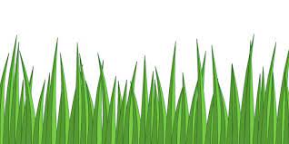 It should mirror the feeling of the scene, light and in this entry into my drawing lessons series, we'll look at how we can effectively recreate grass and. Kids Easy Simple Grass Drawing Novocom Top