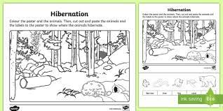 Hibernate is one of the most widely used orm tools for building java applications. Hibernation Cut And Colour Worksheet