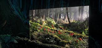 Sony Launch Brand New Bravia Oled Af8 Series Tv To The Soundtrack Of A Stunning Version Of Leave A Light On Sung By Tom Walker Co Written With Steve Mac
