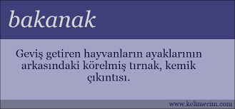 Bakanak Kelimesinin Anlami Nedir Bakanak Ne Demektir