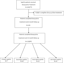 Syphilis is a bacterial infection usually spread by sexual contact. Efficacy Of Doxycycline In The Treatment Of Syphilis Antimicrobial Agents And Chemotherapy