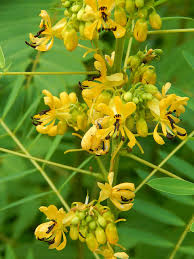 Record #348061 Details