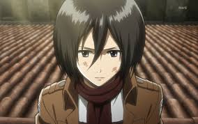 At eren's tribunal, he insults the military police and the wallists, calling them \\pigs\\ and also noting that they are not capable of handling eren. Mikasa Ackerman Attack On Titan Wiki Neoseeker