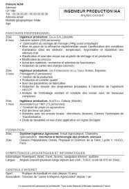 Exemple Cv Antichronologique Objectif Emploi Orientation