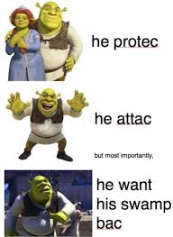 17 Shrek Memes That Ll Make Your Brain Smart But Your Head Dumb Shrek Memes Funny Black Memes Shrek