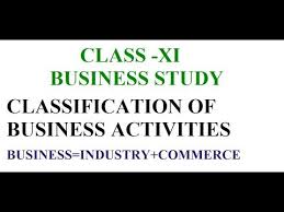 Class Xi Business Study Classification Of Business Activities In 2020 Business Studies Study Activities
