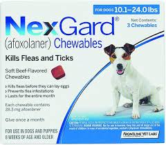 prescription oral flea control medication for dogs whole