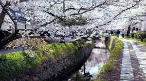 There are four setsubun in japan. Philosophy Road And Okazaki Area Kyoto Sightseeing Route Japan Hisour Hi So You Are