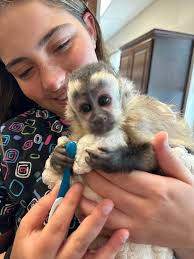 Plain City Animal Hospital