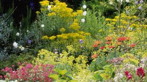 Choose plants that are best suited for the specific growing conditions where you'll be landscaping. Time To Plant Perennials But Choose Flowers That Get Along