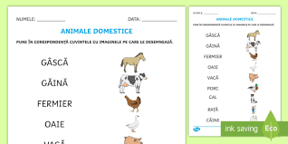 Fisa de lucru animale si pui lor. Ferma De Animale FiÈ™Äƒ De Punere In CorespondenÈ›Äƒ Cuvant È™i Imagine
