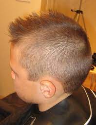 Tammy Favata Hairstylist Crazy Hair Boy Hairstyles Hair Salon