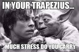 Mmmm Yes I Sense Much Stress In You A Jedi Needs Not These Things Massage Appointments Today We Have Open Massage Funny Massage Marketing Therapy Humor