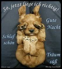Gute nacht) gute nacht und süße träume! Lustig Suss Gute Nacht Bilder