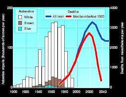 The number of deaths from mesothelioma increased from 416 (353 males and 63 females) in 1997 to 726 in 2018. Tragic Asbestos Error Will Kill Thousands New Scientist