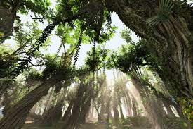 3d Model Rainforest Ultra Hd Rainforest 3d Model Rainforest Trees