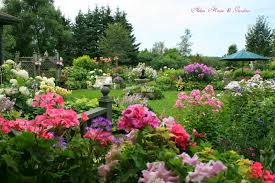 Summer Garden Favorites Joli Jardin Jardin Romantique Beaux Jardins