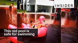 Red day dreamer swimming pool float lounge. This Blood Red Swimming Pool Is Safe For Swimming Youtube