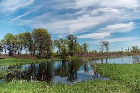Francis river flows through the eastern side of the park. Hunt Explore Review Of Sherburne National Wildlife Refuge Zimmerman Mn Tripadvisor