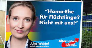 Alice weidel fungiert nun im bundesvorstand der deutschen protestpartei. Lesbische Afd Politikerin Will Homo Ehe Von Fluchtlingen Verbieten