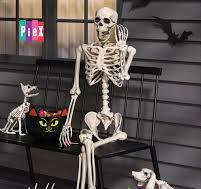 Dale vida a tu Halloween con este Esqueleto Posable de 60 ...