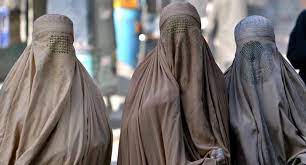 난보수가 정권잡으면 제일 고쳤으면 하는것중 하나가 성매매 야동같은 것들임 8: ë˜'ë˜' ížˆìž¡ì„ ë'˜ëŸ¬ì‹¼ ë…¼ìŸ