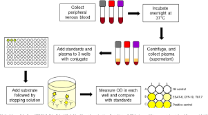 Current test id new test id current recommended cpt new recommended cpt price change effective date. Figure 3 From Igras The Gateway To T Cell Based Tb Diagnosis Semantic Scholar