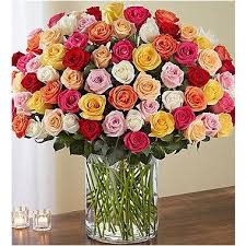 100 Premium Long Stem Multicolored Roses Types Of Roses Flower Delivery Flower Arrangements