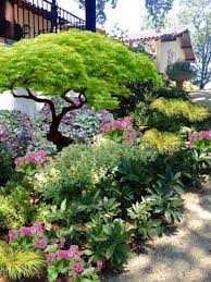 Conceputal Image Shade Garden Helebores Bergenia Acorus Japanese Maple Loropetalum Shade Landscaping Front Yard Landscaping Design Garden Design