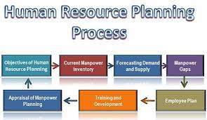 Human resource planning (hrp) begins with assessment of existing human resources with the organisation and thereafter provides a layout regarding the future requirement of human resources, design of programs related to hiring, placement and appraisal and development of personnel. What Is Human Resource Planning Process Business Jargons