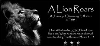 Quote Strength Vs Weakness Lion Roar Quotes About Strength