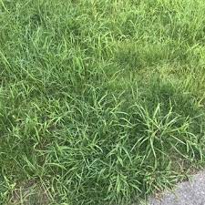 If you need a yard with an easy, elegant appearance, an oriental landscape design could possibly be the ideal fit. Marty S Landscaping 21 Reviews Landscaping 167 Stedman St Lowell Ma Phone Number Yelp