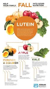 Food Infographic Healthy Foods For The Fall Season Infographicnow Com Your Number One Source For Daily Infographics Visual Creativity Eye Health Food Health Food Food Infographic