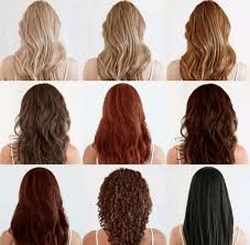 Natural Hair Dyes Brands Top 10 Organic Hair Dye Brands Dyed Natural Hair Organic Hair Dye Organic Hair Color