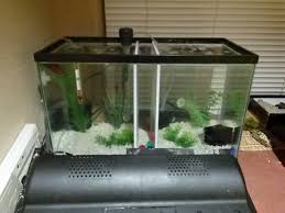Betta tank fighter fish display tank the display tank comes with a 55w glass heater , a 102 power head and 3 x led lights. Polly Rambles Betta Care A Tank Divided