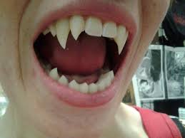 Cat Teeth Cosplay Google Search Vampire Teeth Vampire Werewolf Teeth