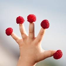 Gesunde Ernahrung Ist Wichtig Auch Bei Euch In Der Kita Mit Diesem Fingerspiel Konnt Ihr Gesunde Getranke Fur Kinder Gesunde Ernahrung Fur Kinder Himbeeren