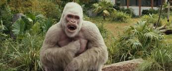 Rampage is a 2018 american science fiction monster film directed by brad peyton and loosely based on the video game series of the same name by midway games.the film stars dwayne johnson, naomie harris, malin åkerman, jake lacy, joe manganiello, and jeffrey dean morgan.it follows a primatologist who must team up with george, an albino gorilla who turns into a raging creature of enormous size. Rampage Big Meets Bigger Tierische Riesenkeilerei Film At