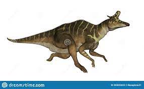 Duckbill Dinosaur Stock Illustrations 38 Duckbill Dinosaur Stock Illustrations Vectors Clipart Dreamstime