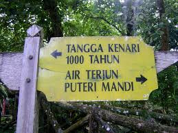 Jika anda ingin mencoba menemukan harta karun ini, pastikan anda membawa seekor anjing hitam legam untuk mengendus dan membongkar tanah, seperti yang. Www Penbiru Com Discover Kedah 2016 Tangga Kenari