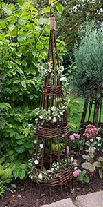 Made from willow, it's ideal for training lighter climbers like sweet peas or clematis and is a good entry point for new gardeners or those on tighter budgets. Forest Garden 1 5m Concentric Willow Obelisk Pack Of 2 Amazon Co Uk Garden Outdoors
