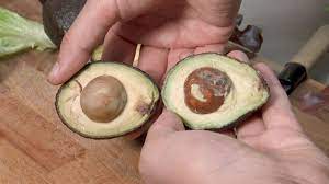 Aber ist die frucht dann noch essbar oder schon schlecht und sollte nicht mehr verzehrt werden? Avocado Innen Braun Was Tun Focus De