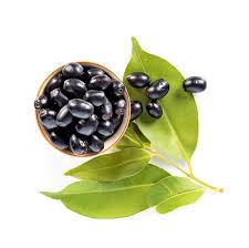 Image result for Syzygium cumini