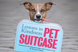 Compare your options and call now. Lessons In Kindness Pet Suitcase Show The Lyric Theatre