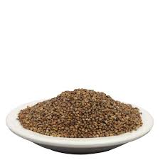 Image result for Phyllanthus maderaspatensis