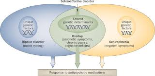 Bipolar disorder is a mental illness marked by extreme changes in mood from high to low, and from low to high. Shared Genetics Of Bipolar Disorder And Schizophrenia Nature Reviews Neurology